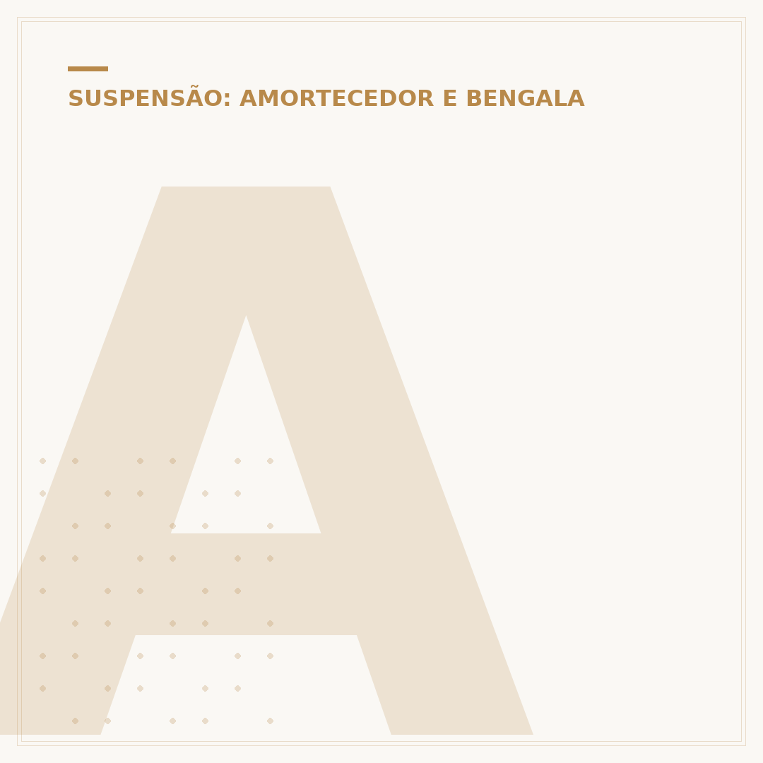 Amortecedor Cofap Bros 150: avaliação e experiência