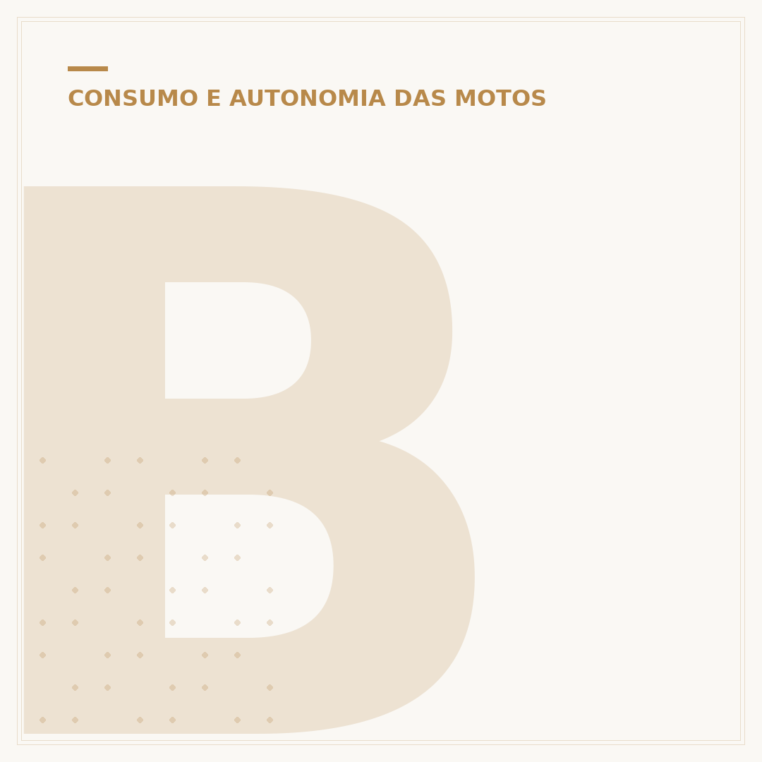 Bajaj 200: consumo e o que você precisa saber