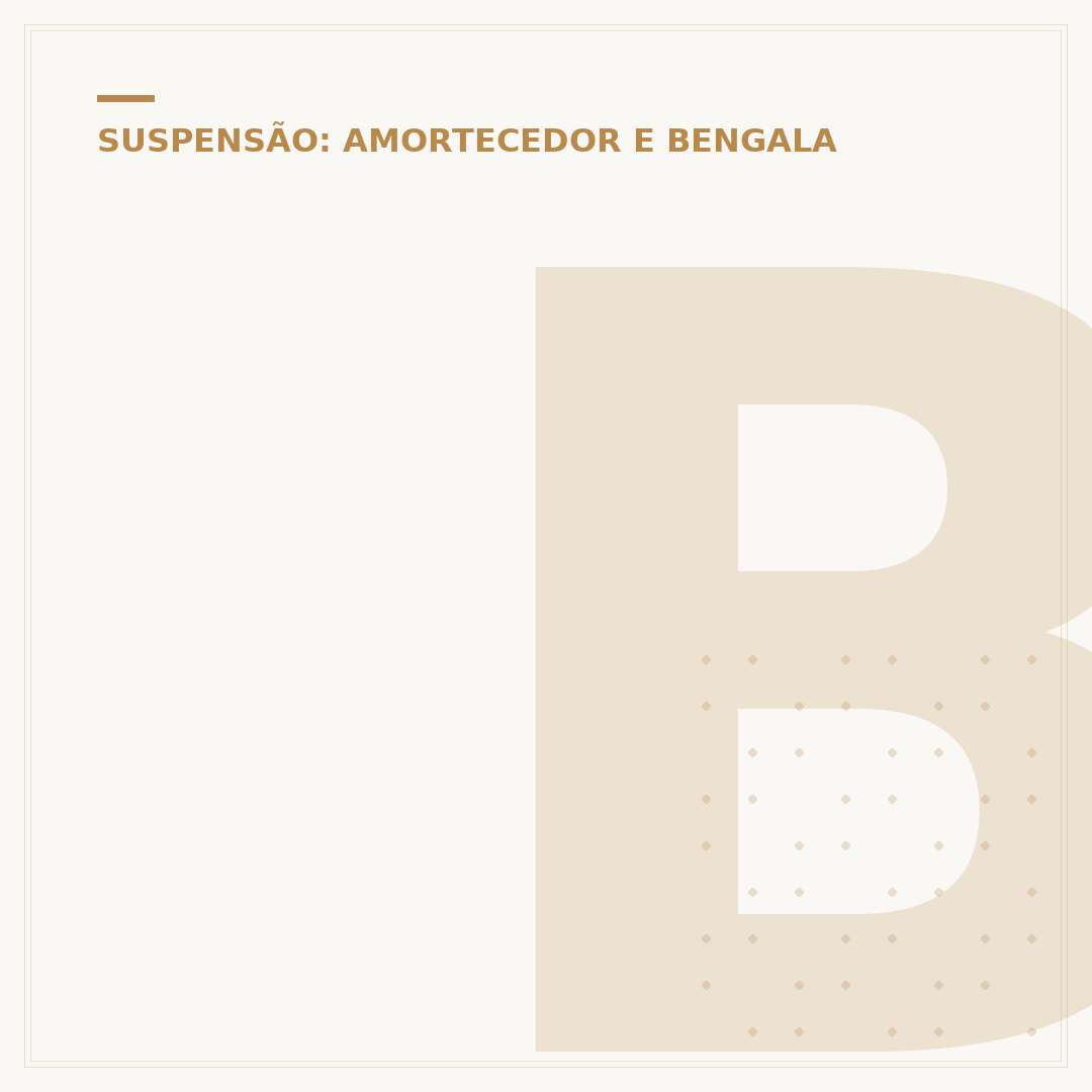 Balança factor 150: cuidados com a suspensão traseira