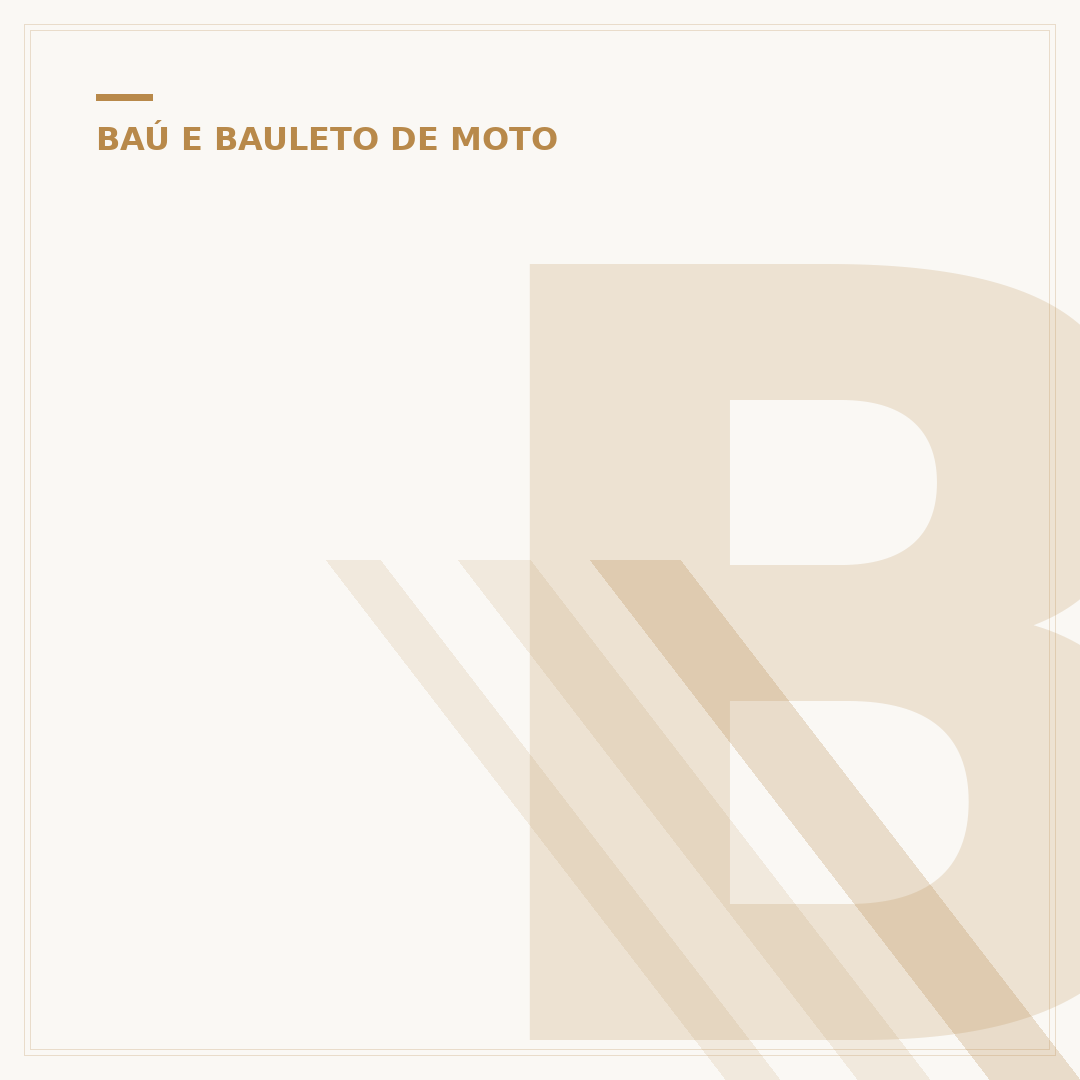 Bau BMW GS 310: seu companheiro de aventuras