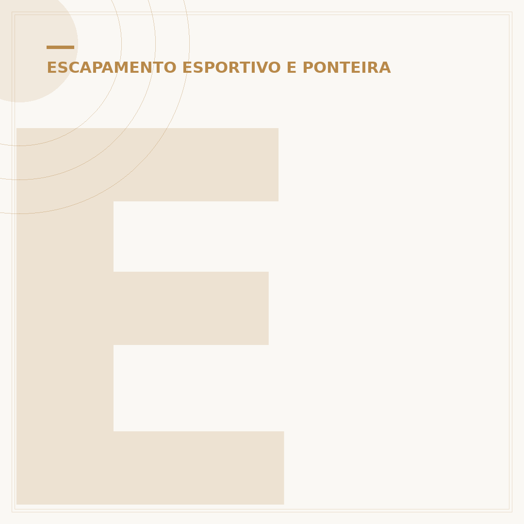 Escapamento esportivo da XT 660: som e performance