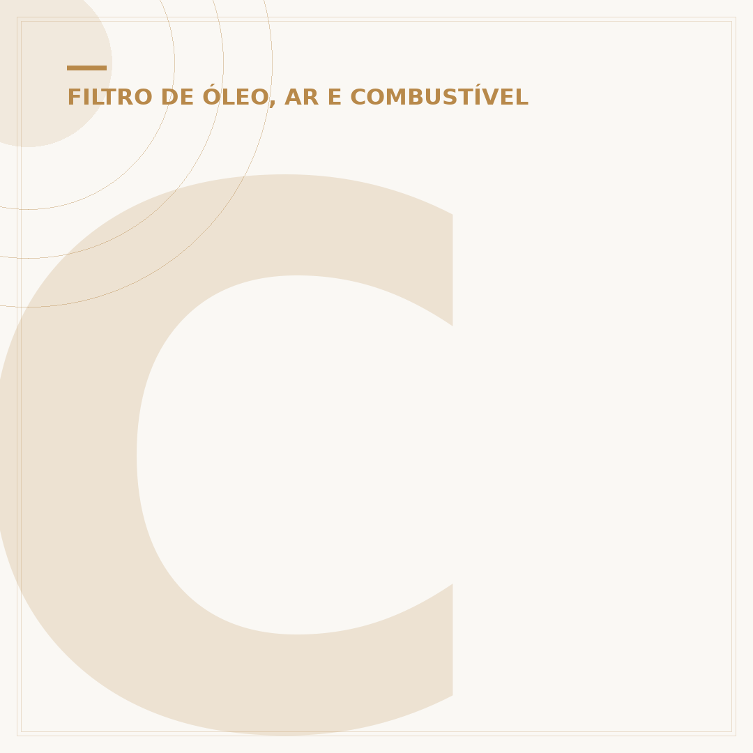 Critérios de compra para filtro esportivo para Biz 100