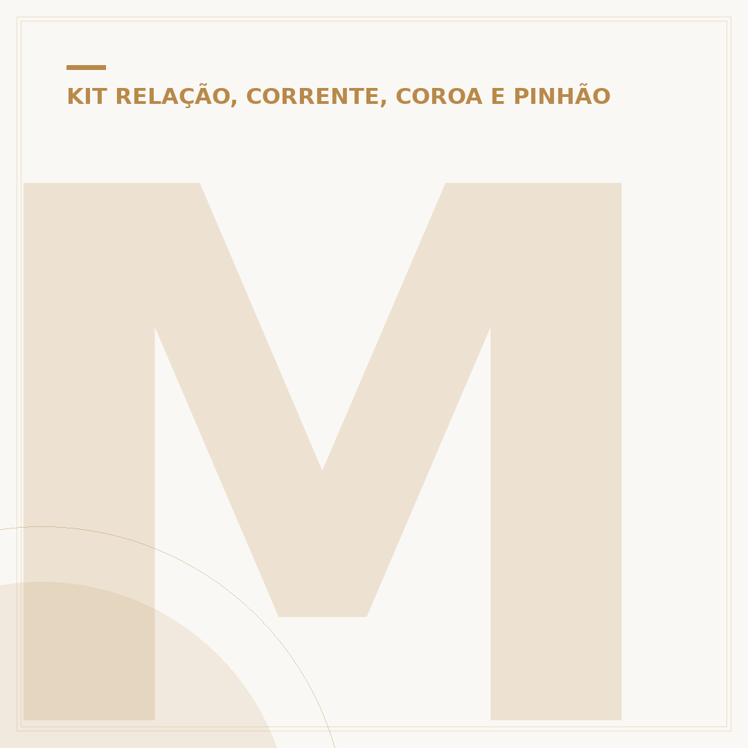 Manutenção da corrente de comando da Pop 110