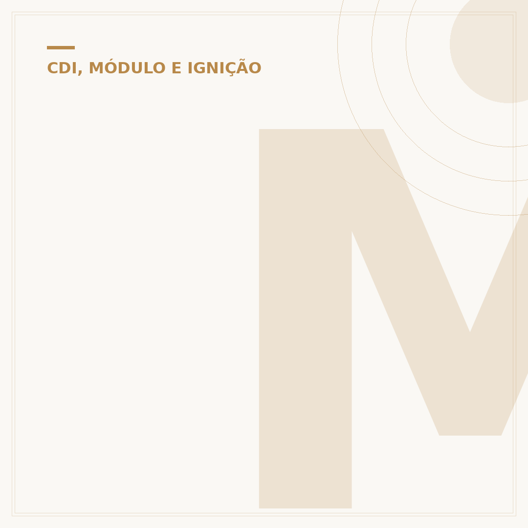 Módulo da Fazer 250