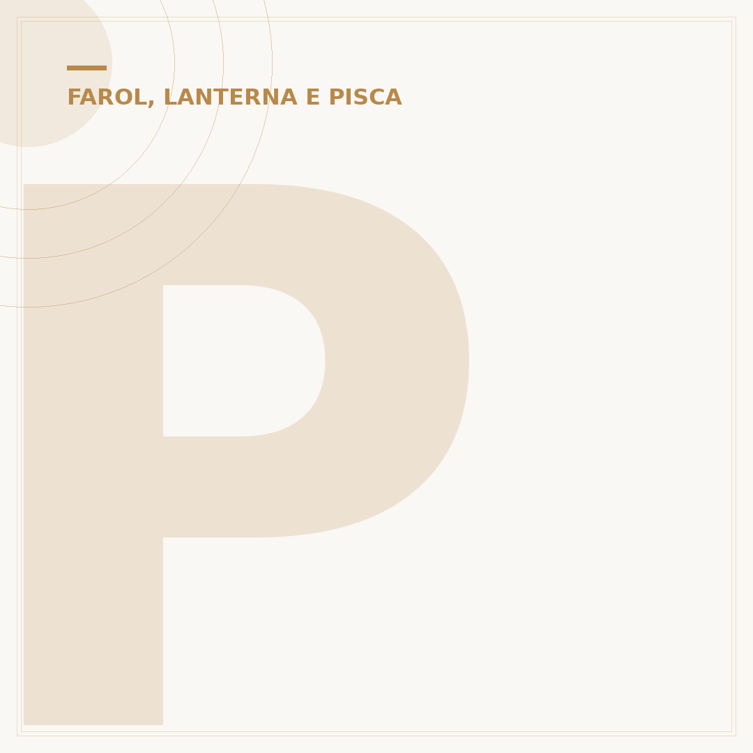 Pisca da Pop 100: manutenção e cuidados práticos