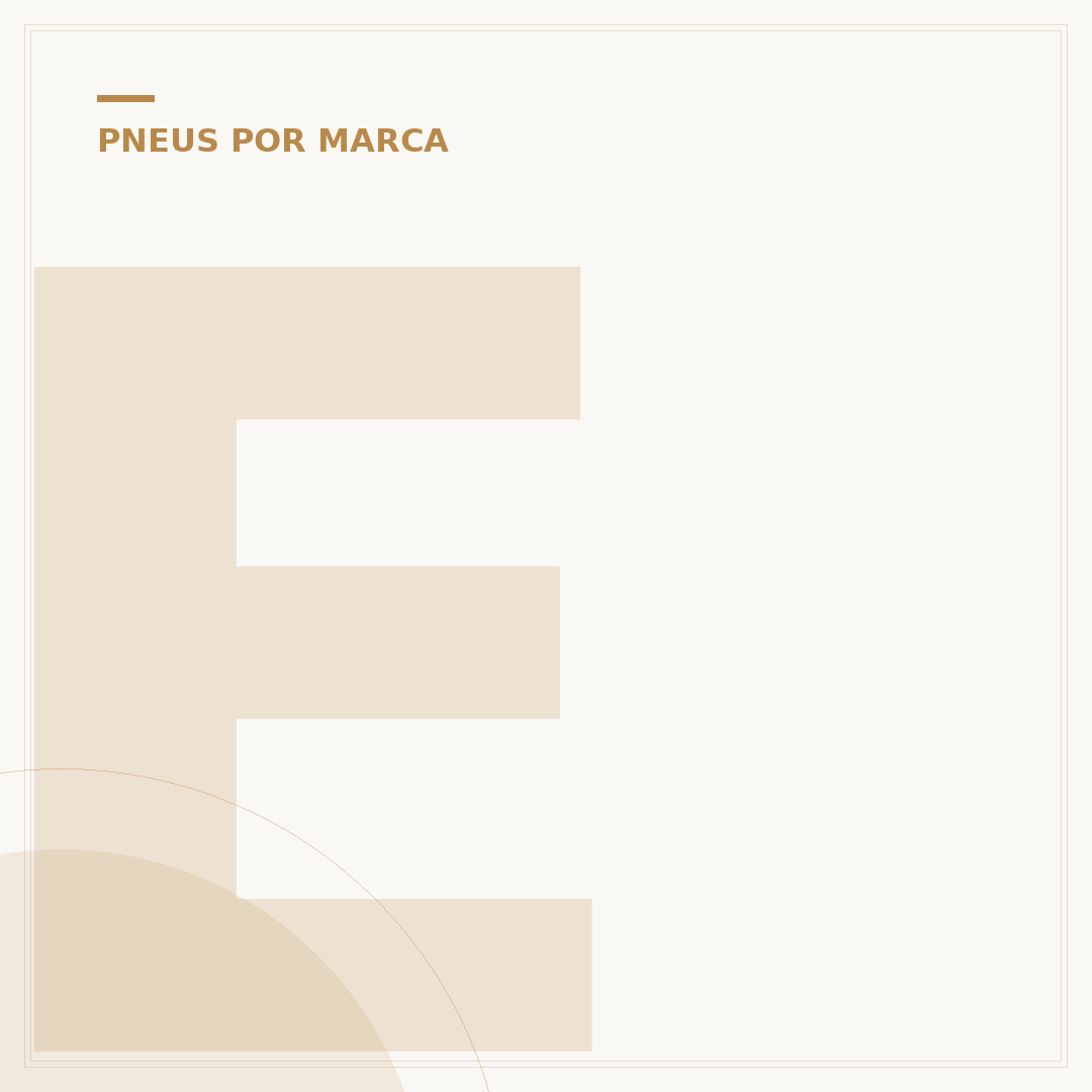 Escolher pneu fazer 250 Maggion: o que considerar