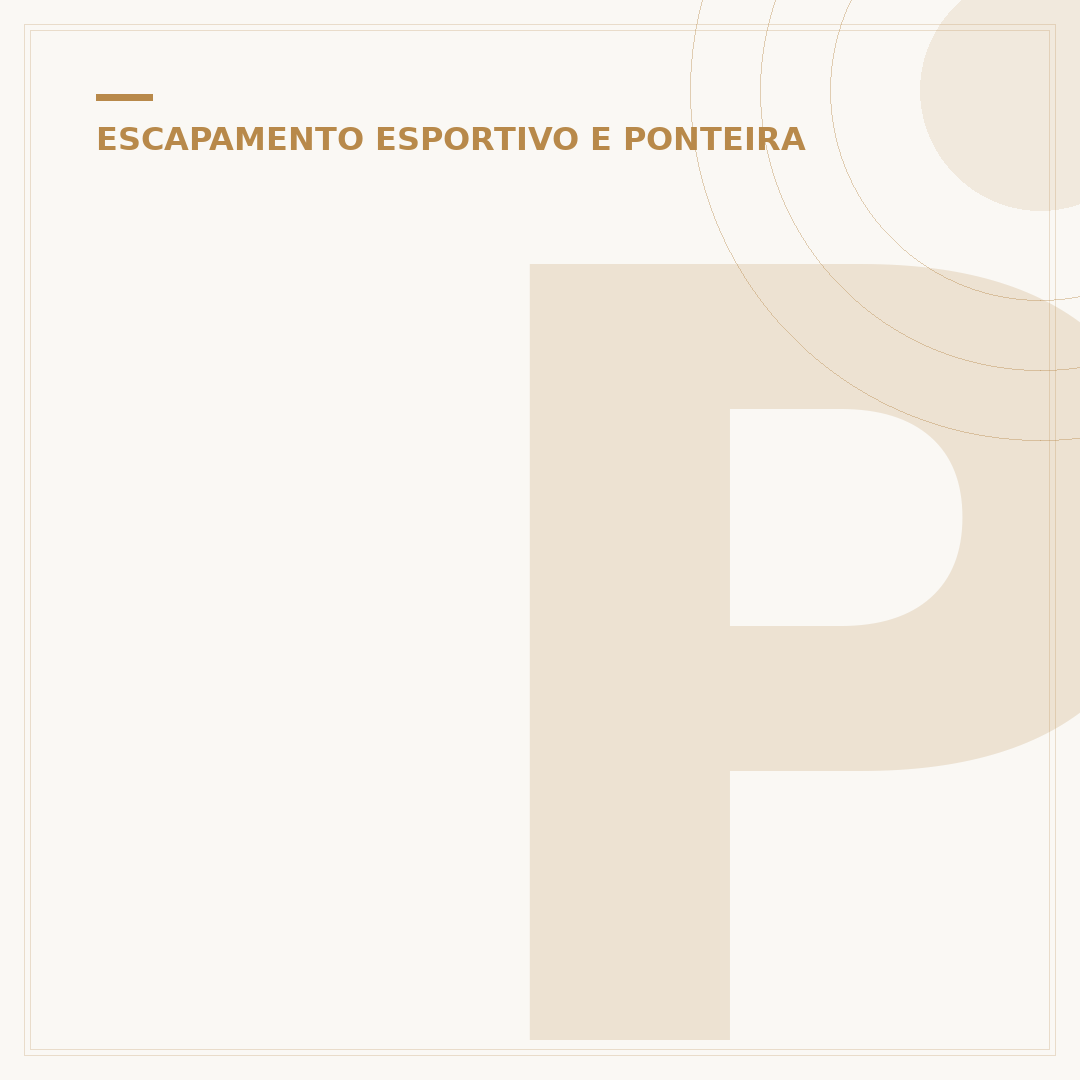 Ponteira esportiva escapamento FZ25: o som que você busca