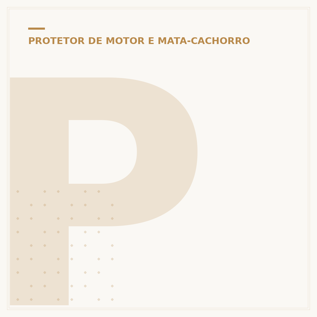 Protetor de carenagem Lander 250: escolhendo sua proteção