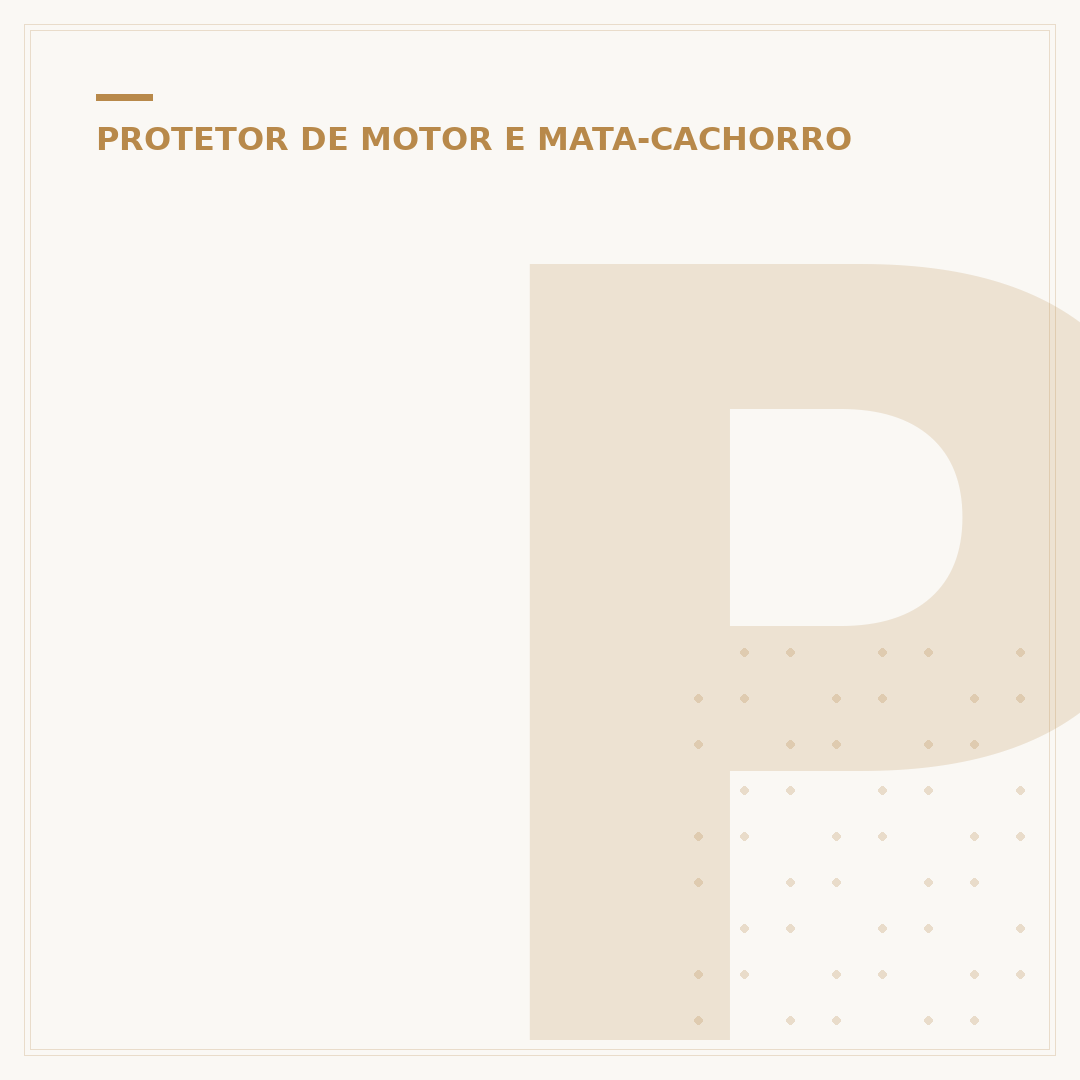 Protetor de carenagem PCX: análise de segurança e estilo