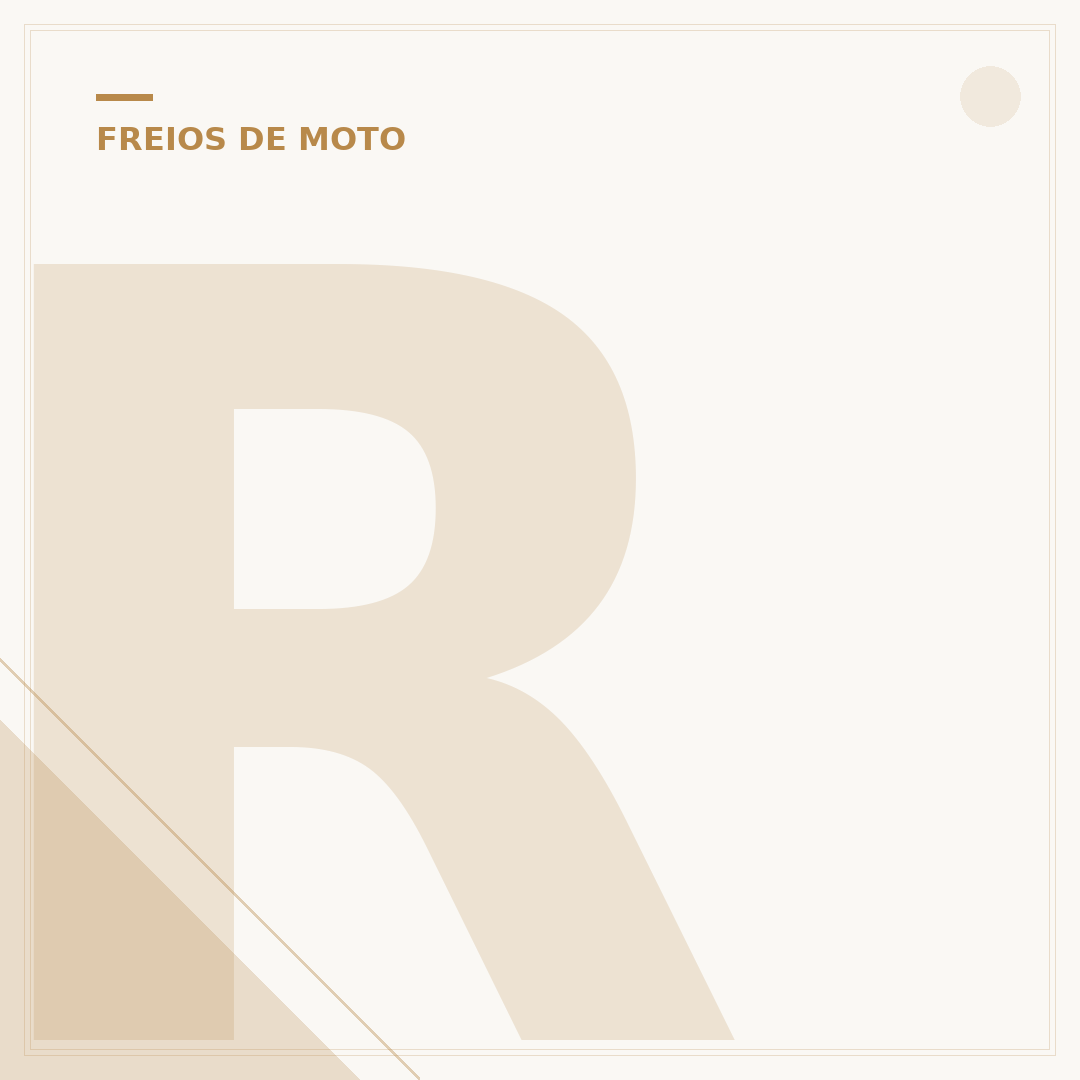 Reparo da pinça de freio da Titan 150
