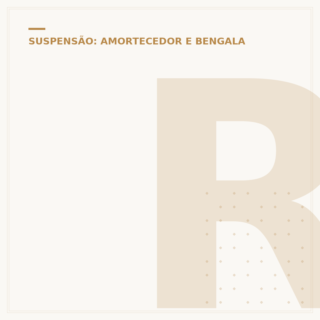 Retentor da bengala CB 300: manutenção correta
