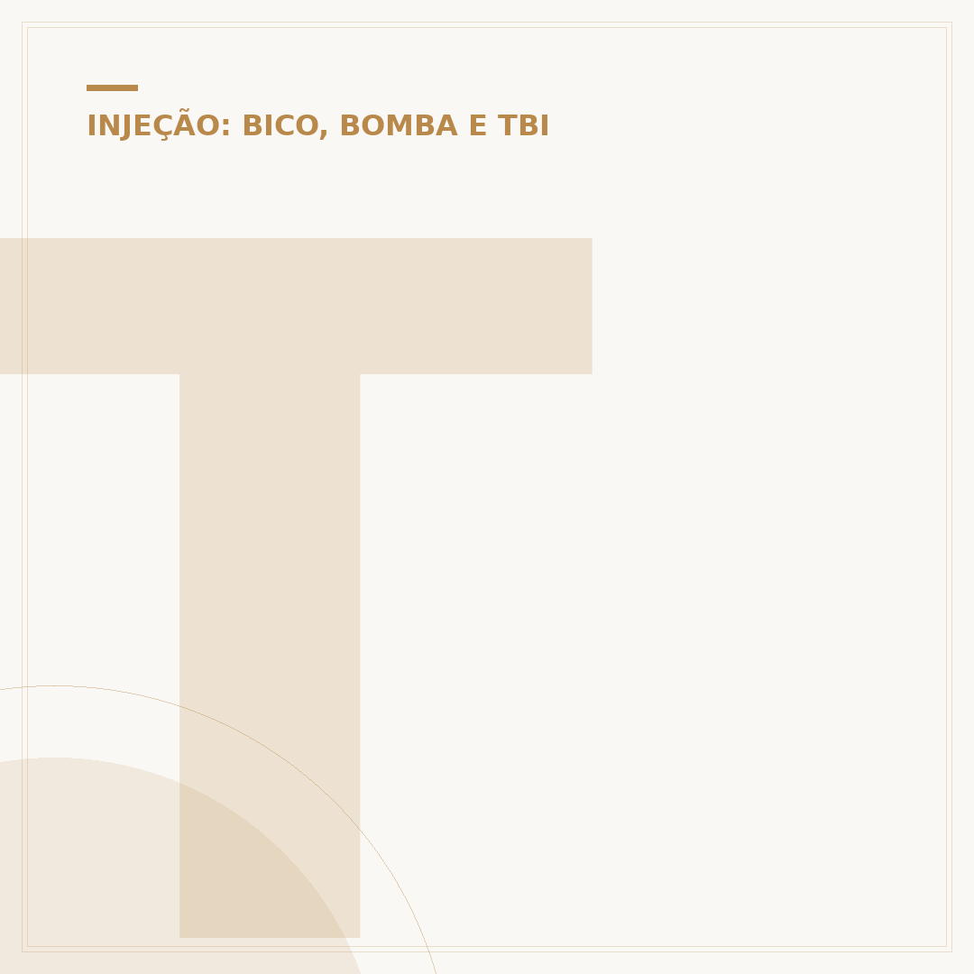 TBI Fan 150: cuidados e quando substituir