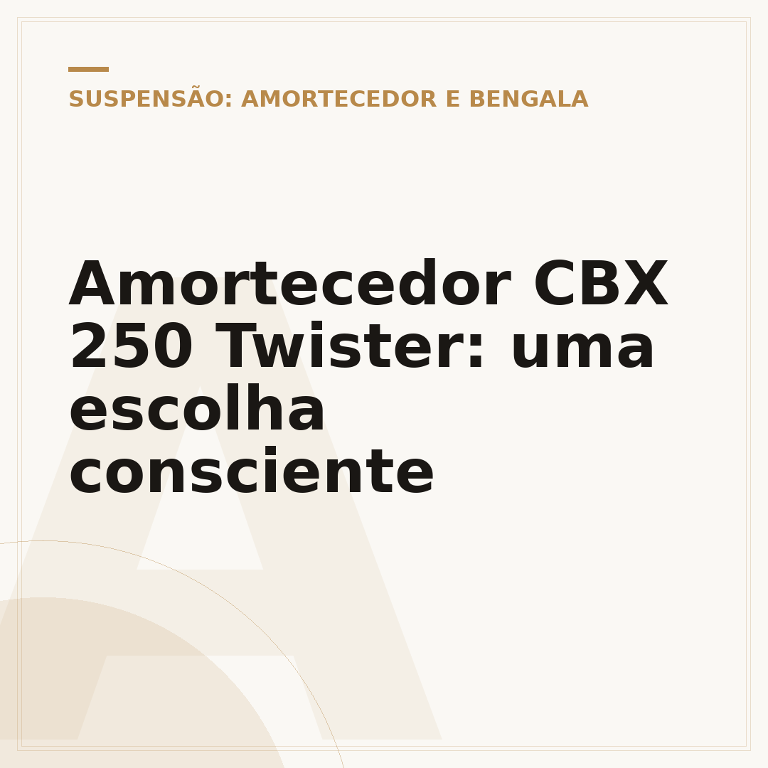 Amortecedor CBX 250 Twister: uma escolha consciente
