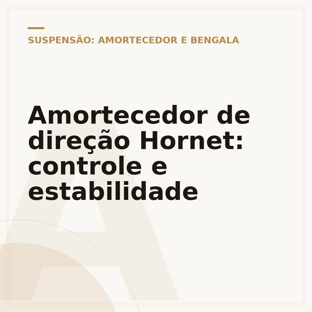 Amortecedor de direção Hornet: controle e estabilidade
