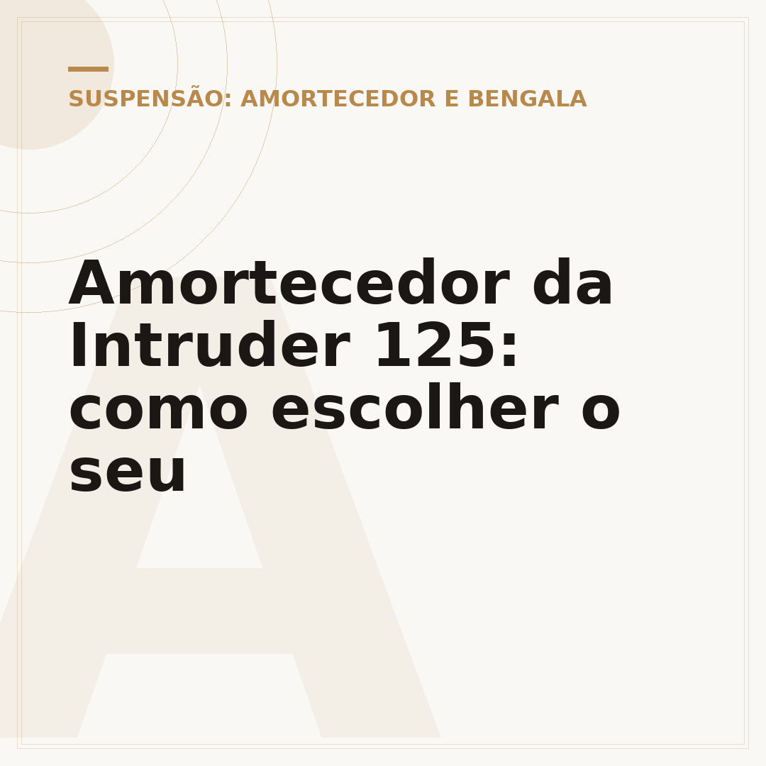 Amortecedor da Intruder 125: como escolher o seu