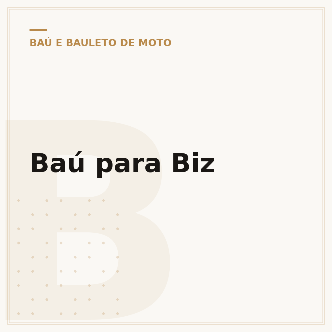 Baú para Biz