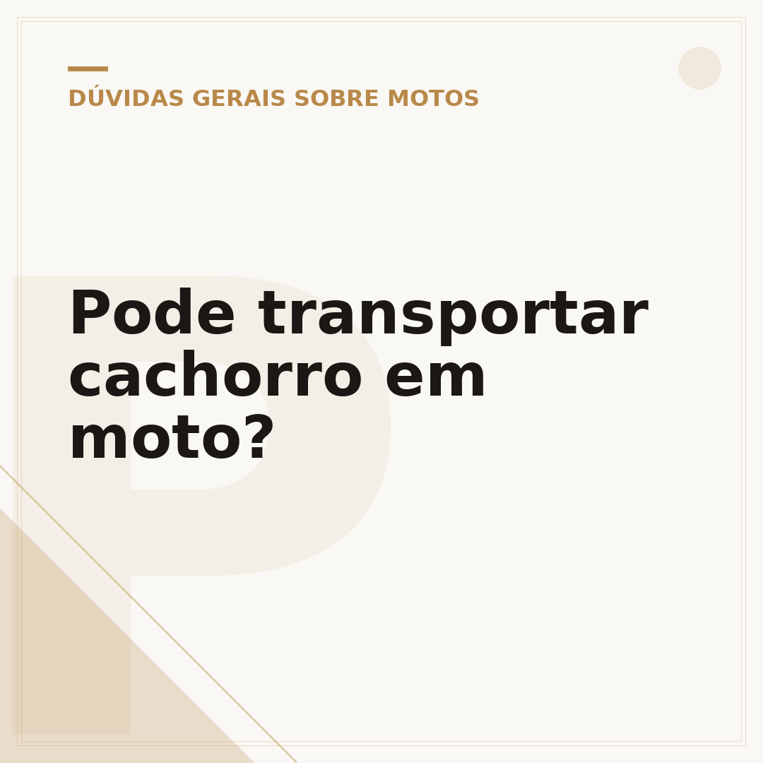 Pode transportar cachorro em moto?