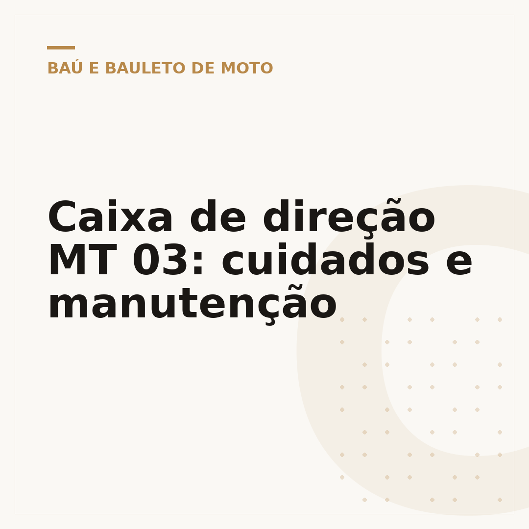 Caixa de direção MT 03: cuidados e manutenção