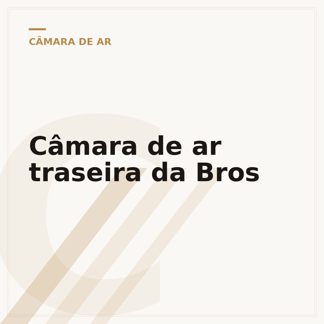 Câmara de ar traseira da Bros