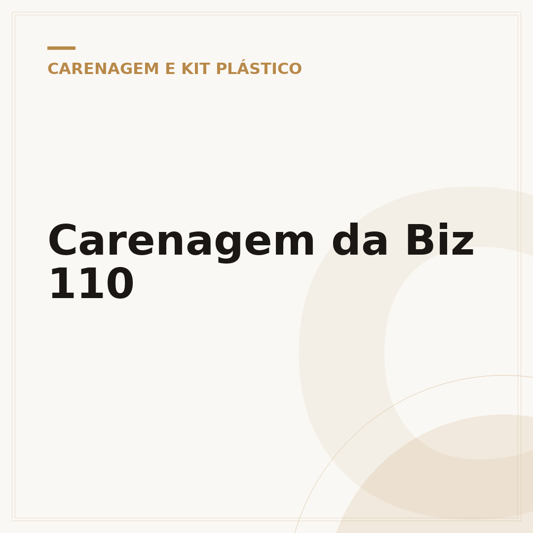Carenagem da Biz 110