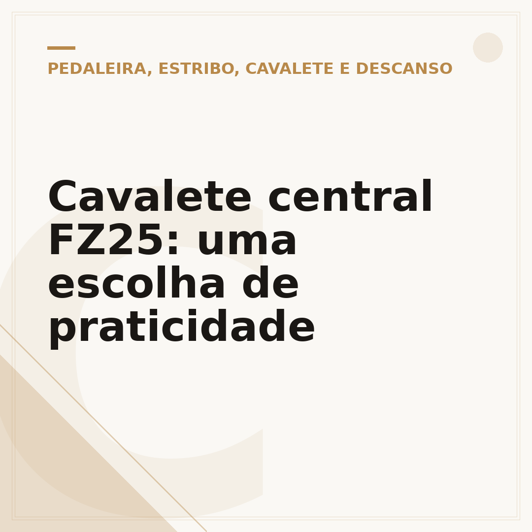 Cavalete central FZ25: uma escolha de praticidade