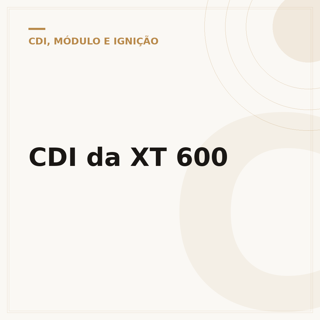 CDI da XT 600