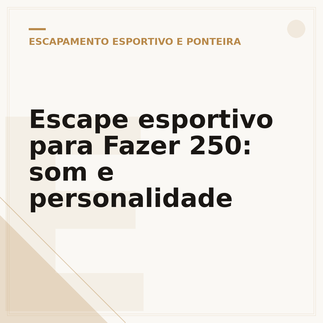 Escape esportivo para Fazer 250: som e personalidade