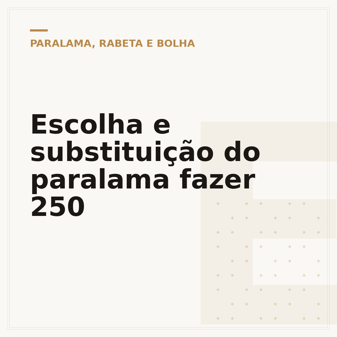 Escolha e substituição do paralama fazer 250