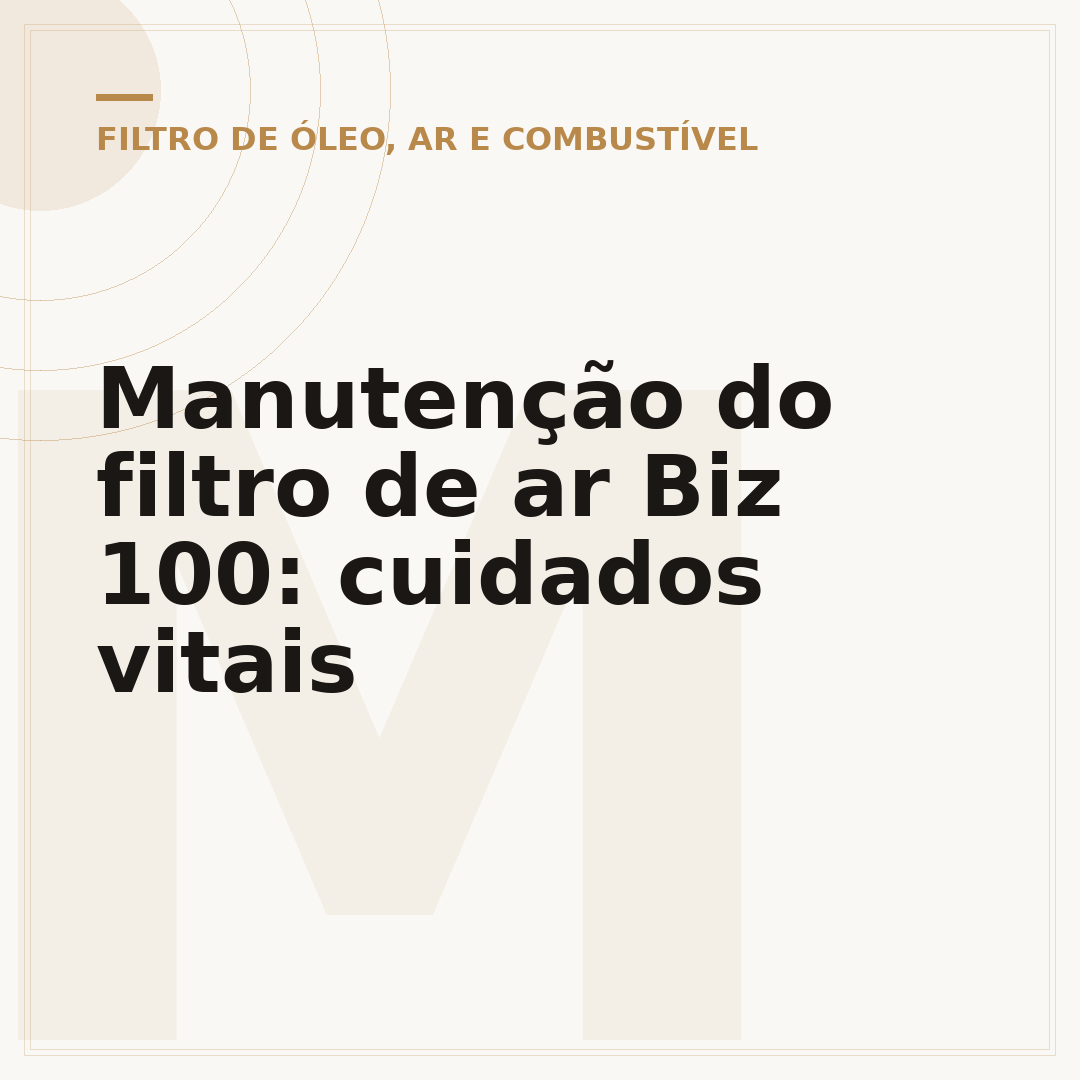 Manutenção do filtro de ar Biz 100: cuidados vitais