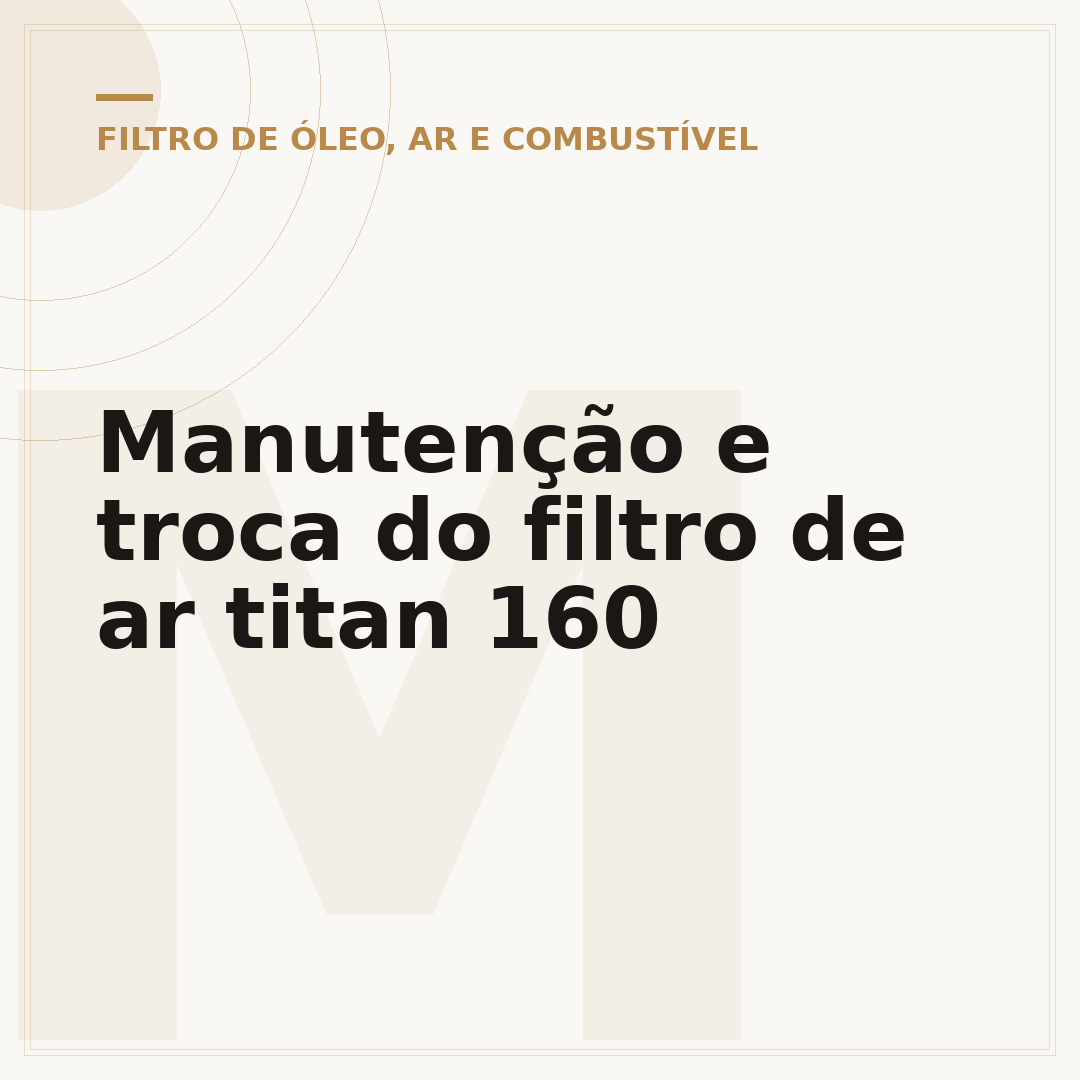 Manutenção e troca do filtro de ar titan 160