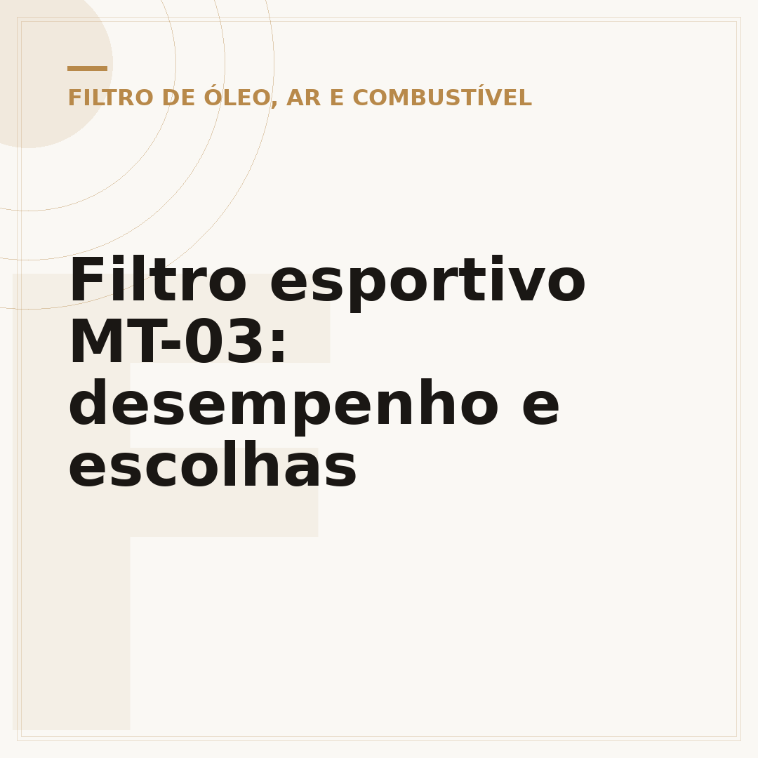 Filtro esportivo MT-03: desempenho e escolhas