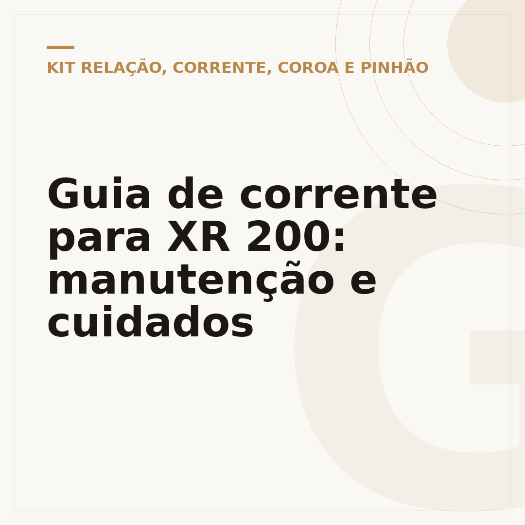 Guia de corrente para XR 200: manutenção e cuidados