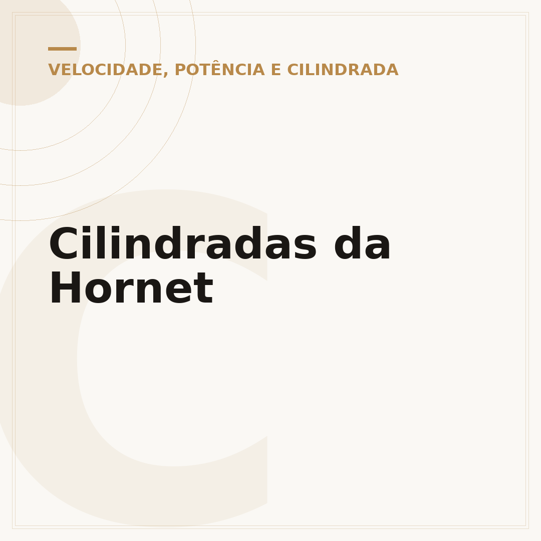 Cilindradas da Hornet