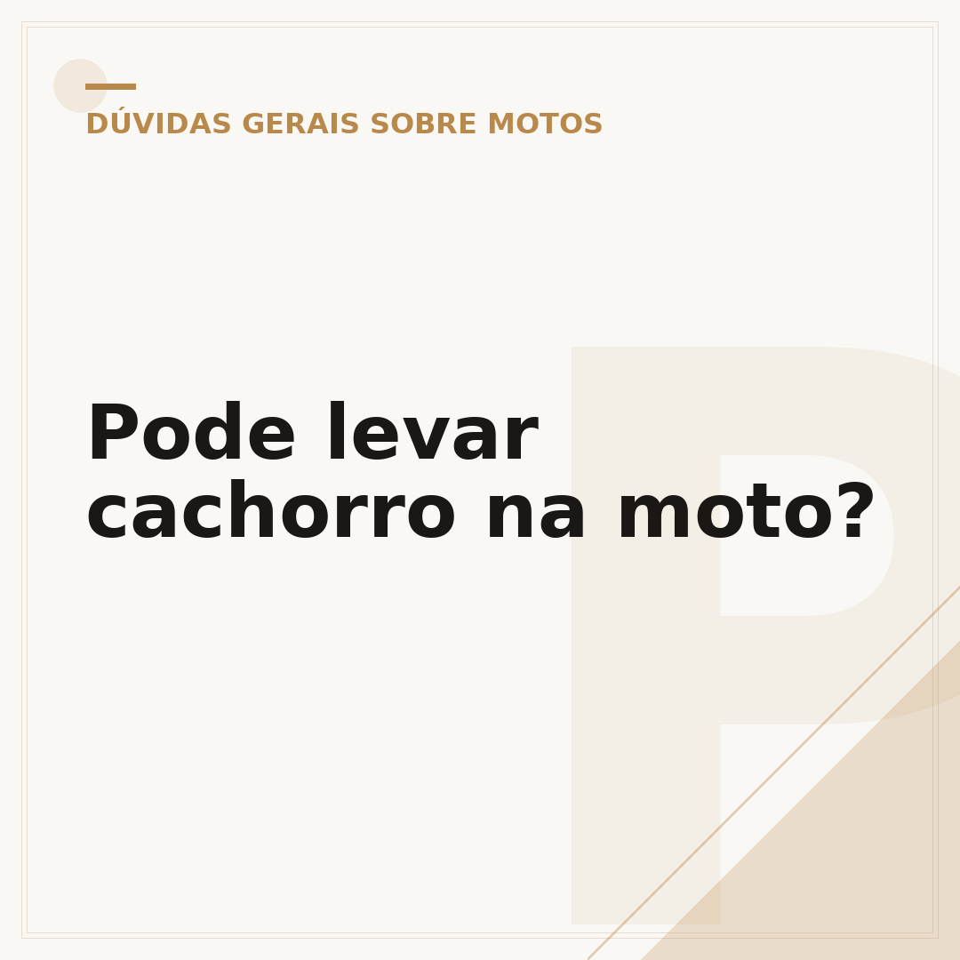 Pode levar cachorro na moto?