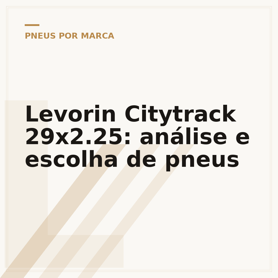 Levorin Citytrack 29x2.25: análise e escolha de pneus