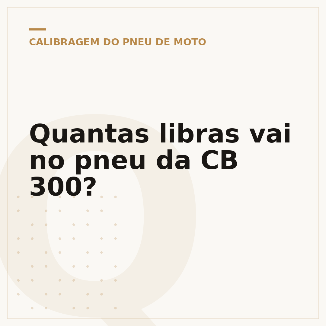 Quantas libras vai no pneu da CB 300?