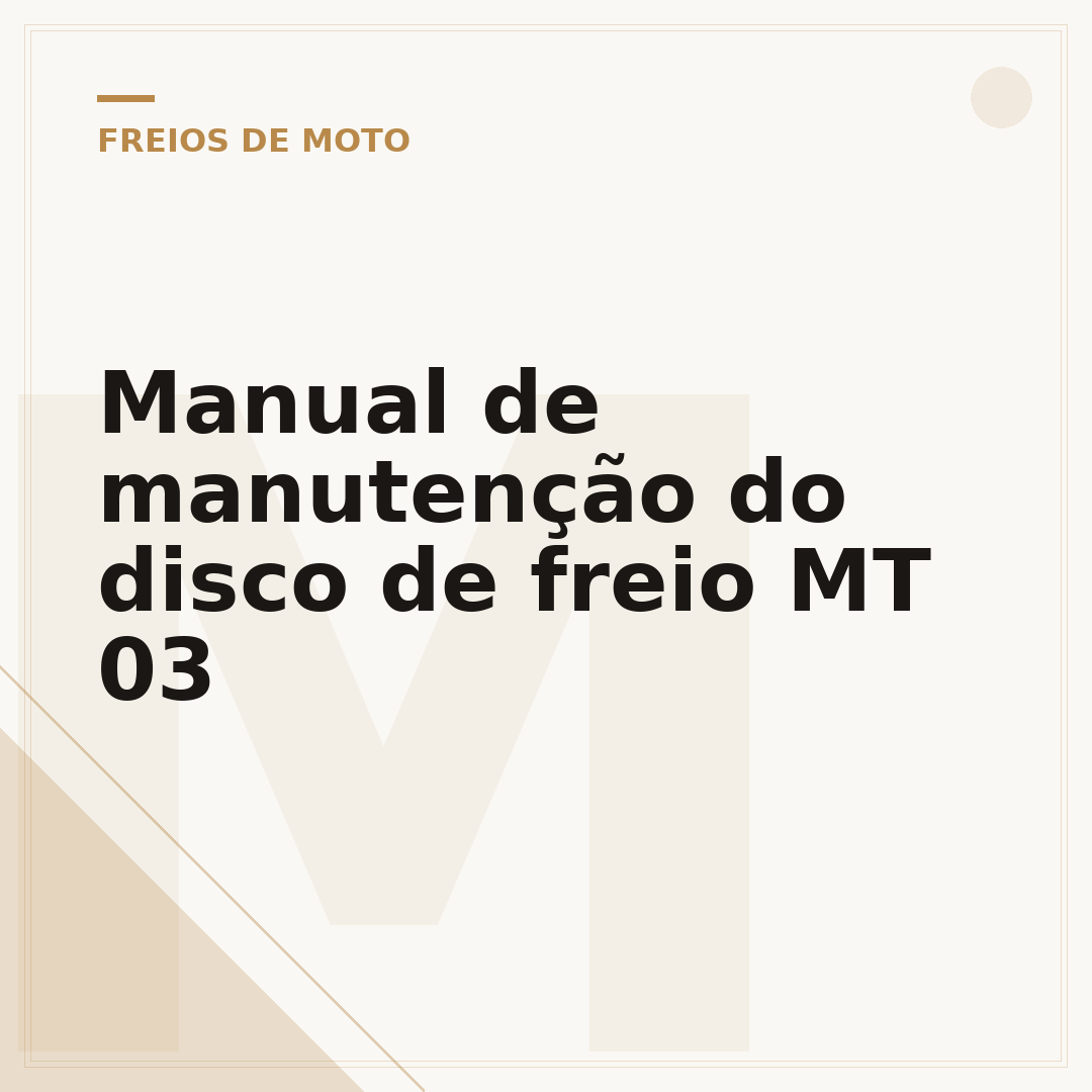 Manual de manutenção do disco de freio MT 03