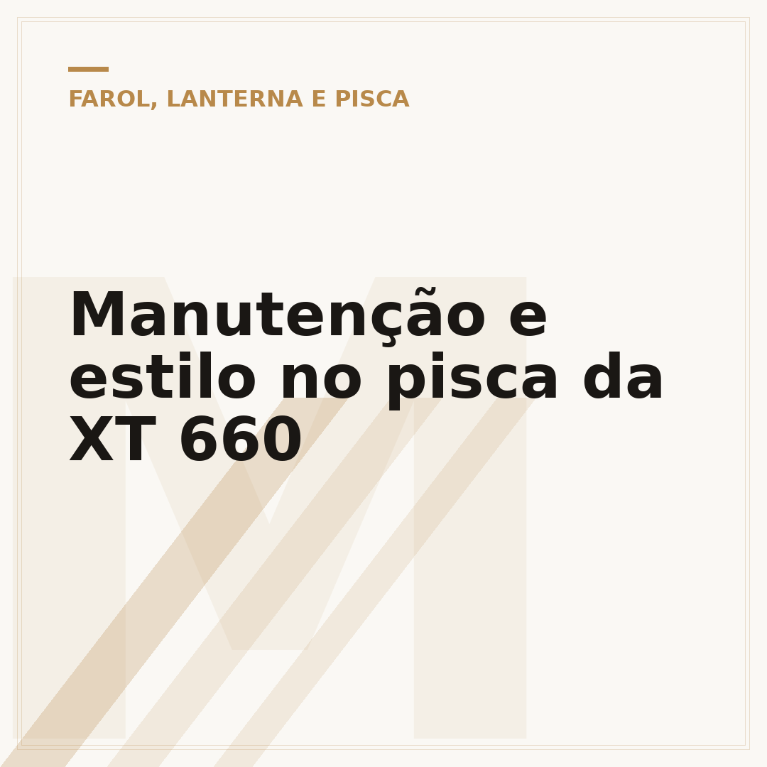 Manutenção e estilo no pisca da XT 660