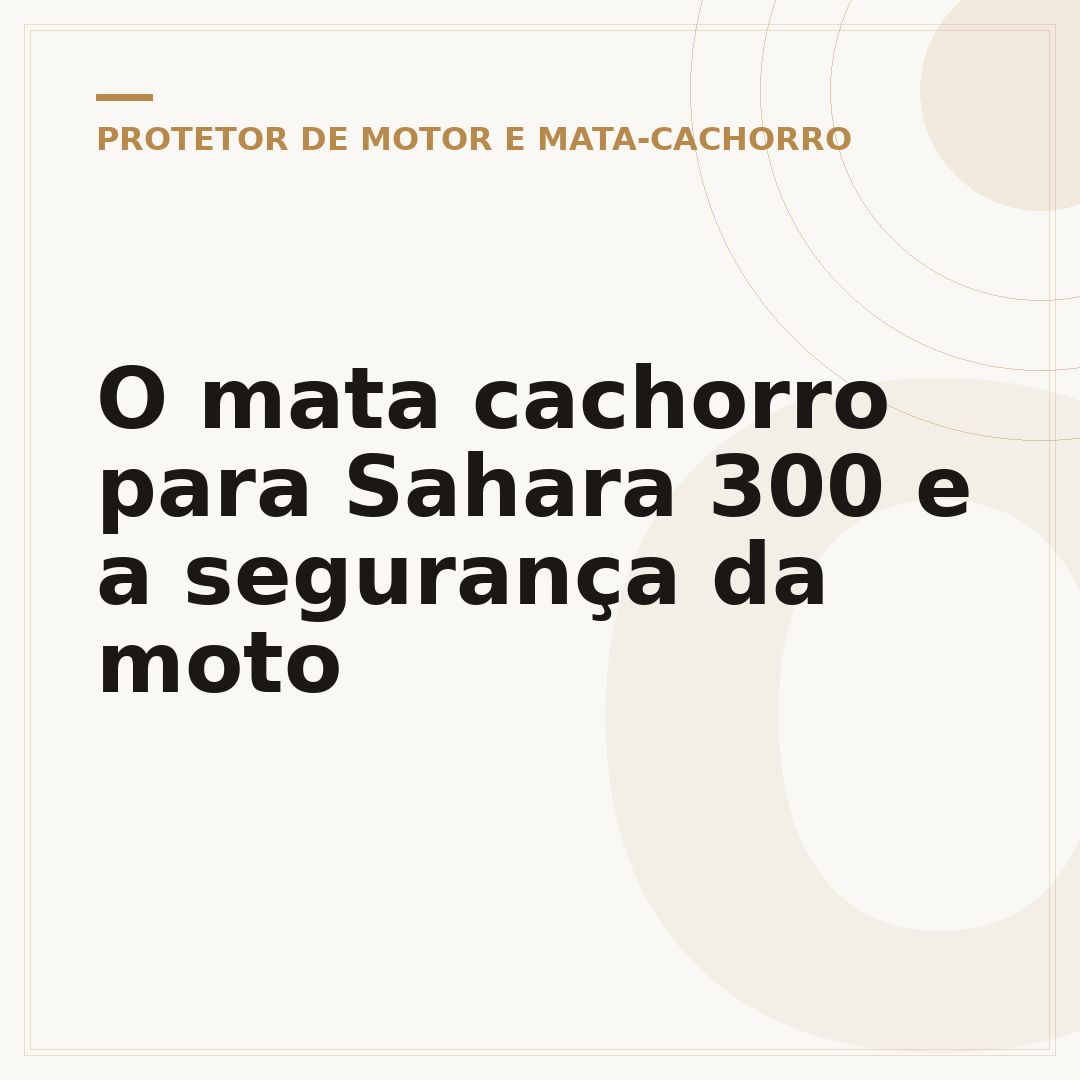 O mata cachorro para Sahara 300 e a segurança da moto