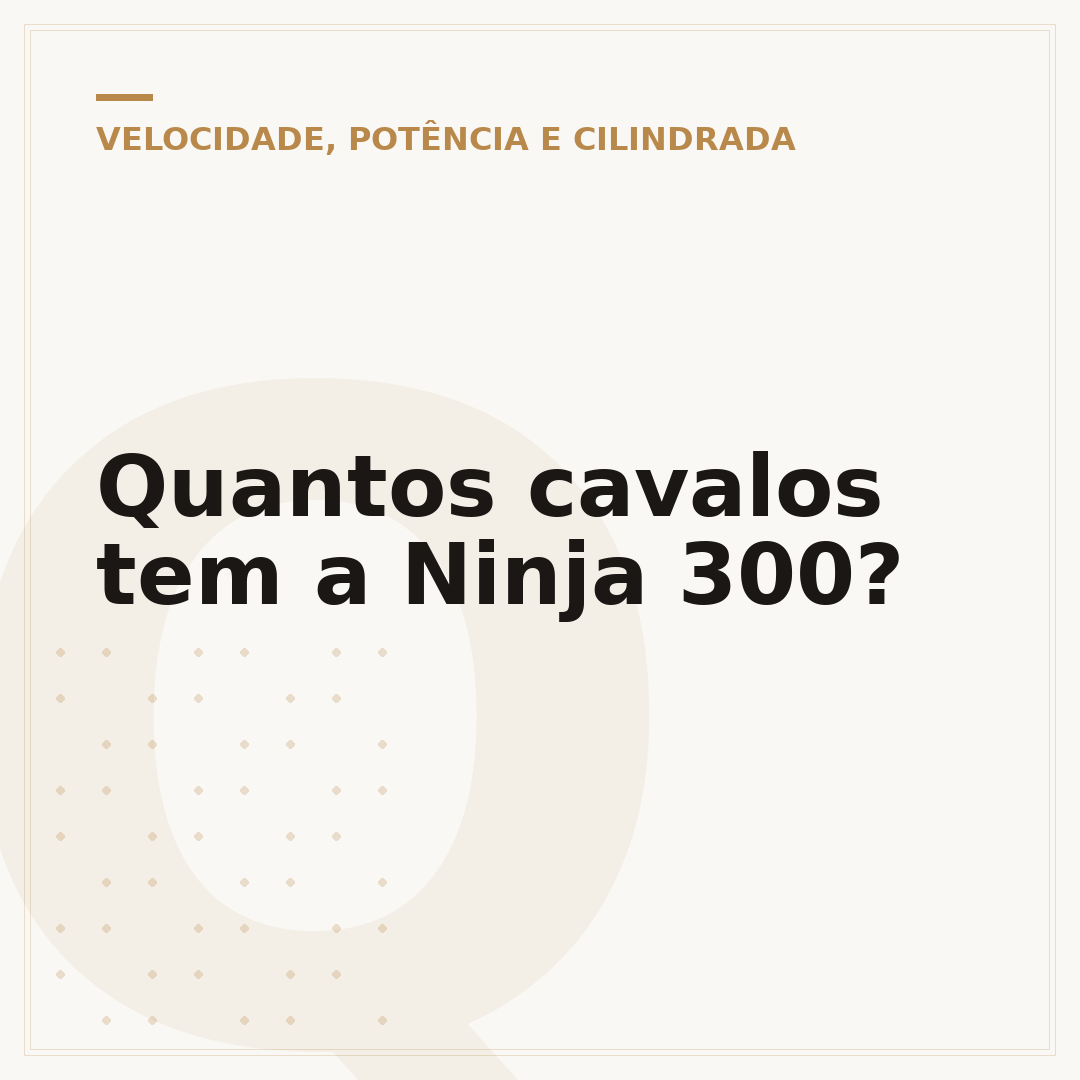 Quantos cavalos tem a Ninja 300?