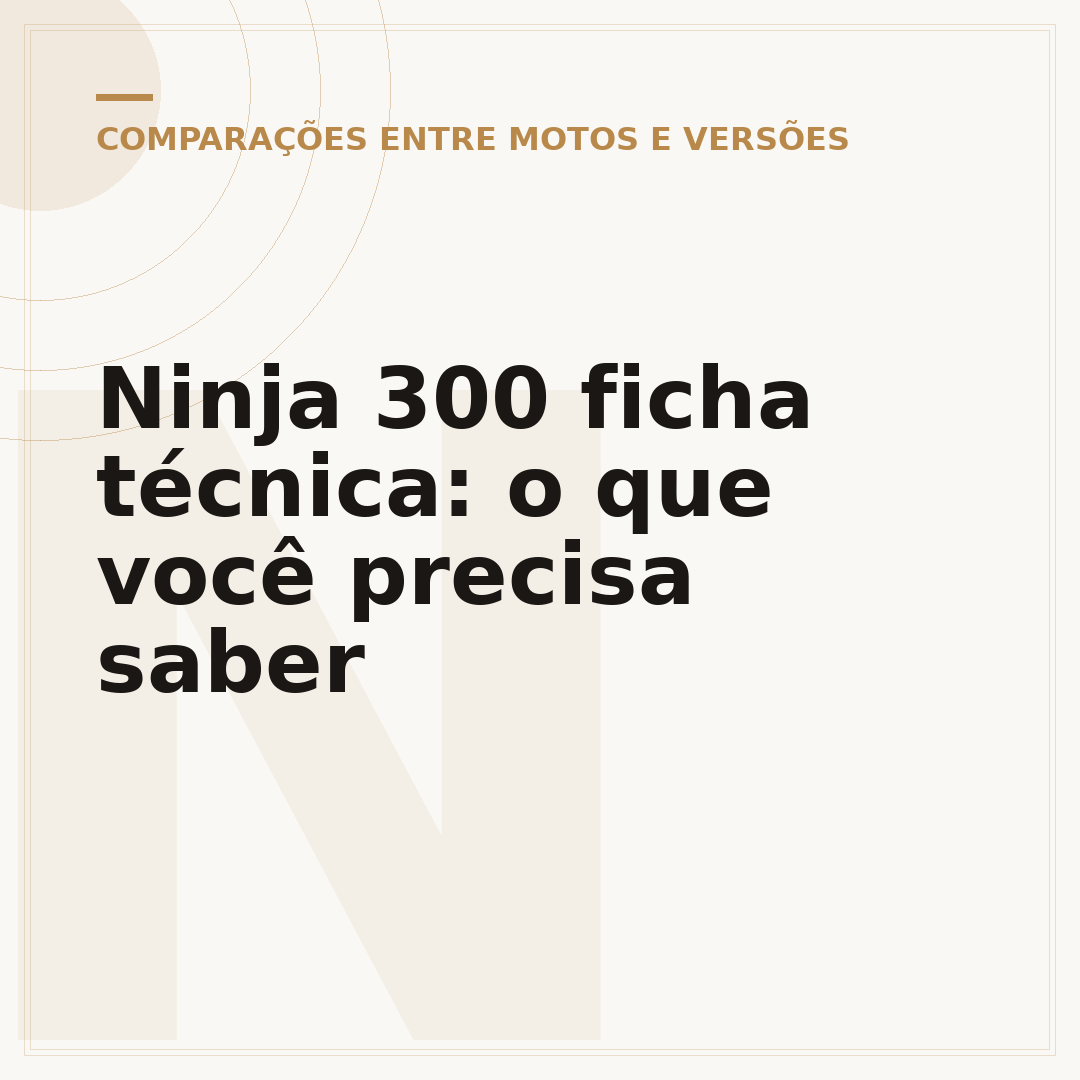 Ninja 300 ficha técnica: o que você precisa saber