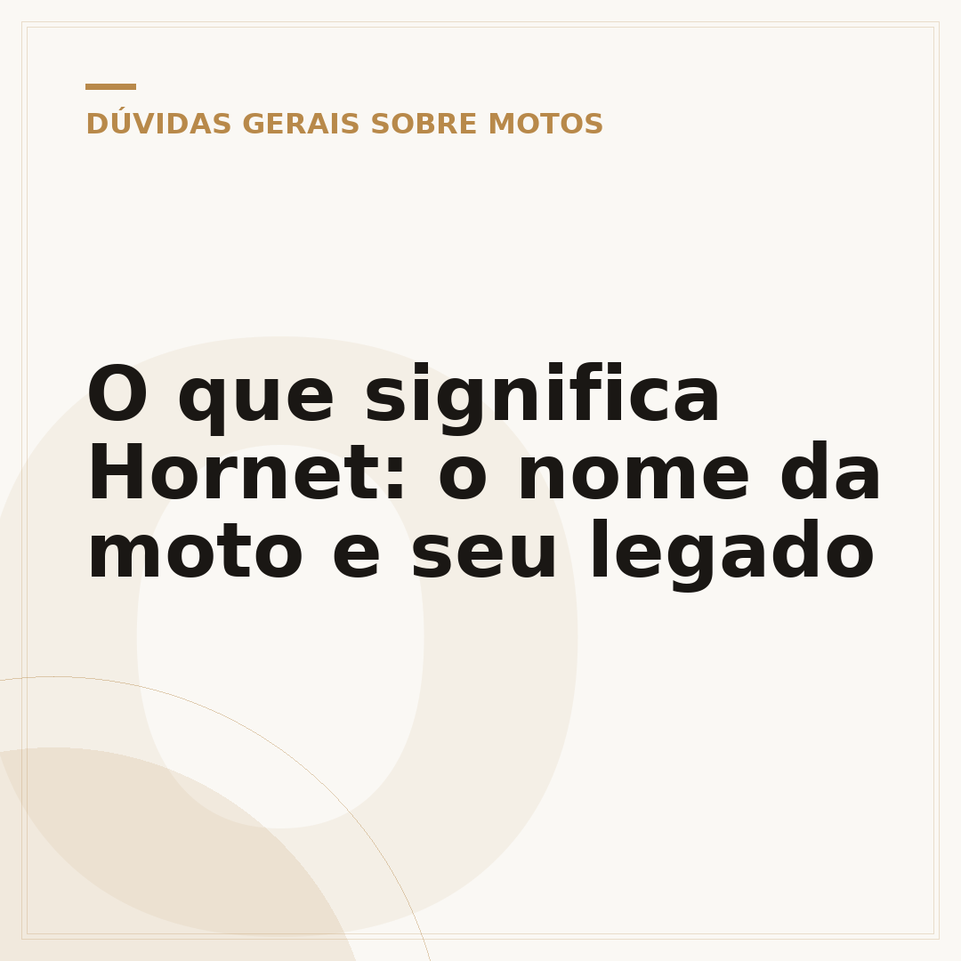 O que significa Hornet: o nome da moto e seu legado