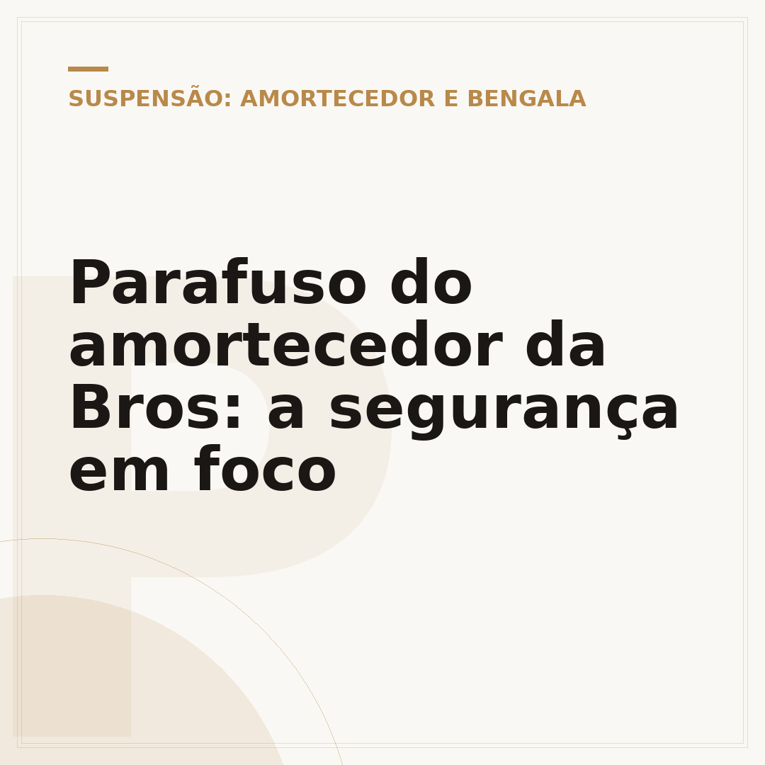 Parafuso do amortecedor da Bros: a segurança em foco