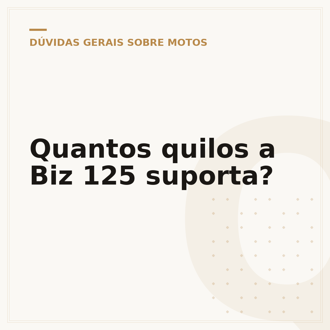 Quantos quilos a Biz 125 suporta?