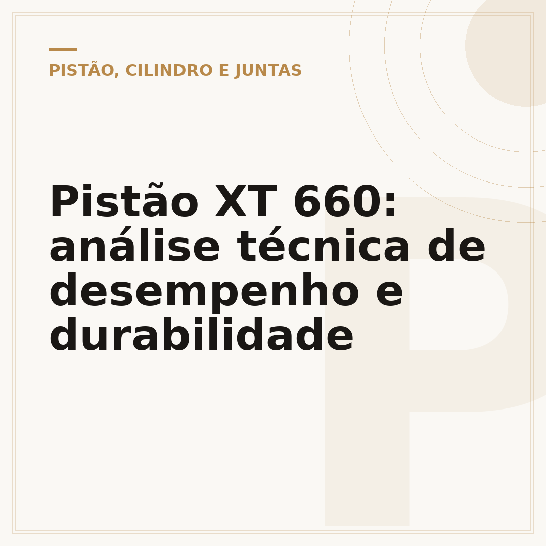 Pistão XT 660: análise técnica de desempenho e durabilidade
