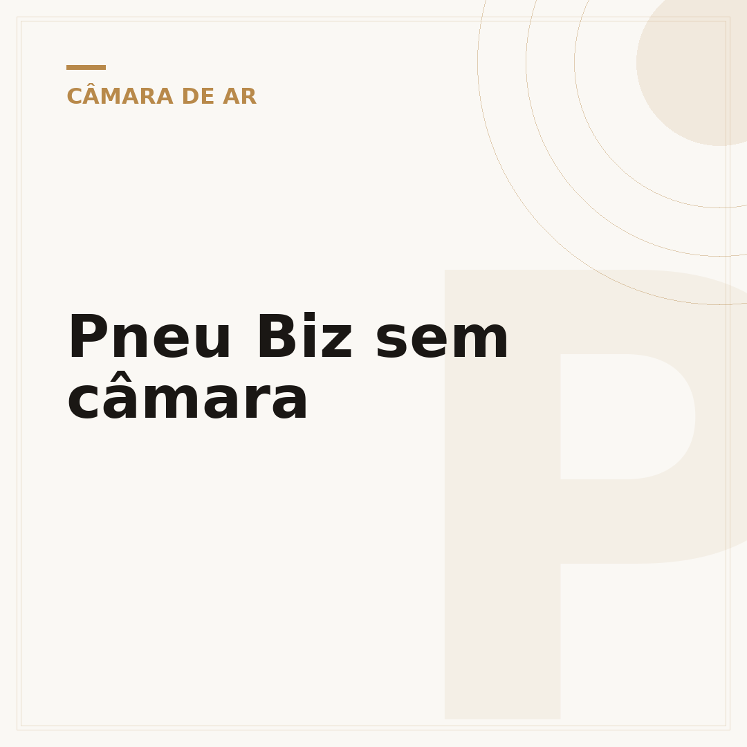 Pneu Biz sem câmara