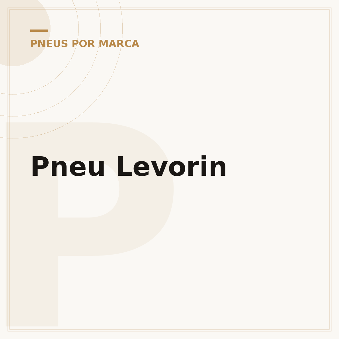 Pneu Levorin