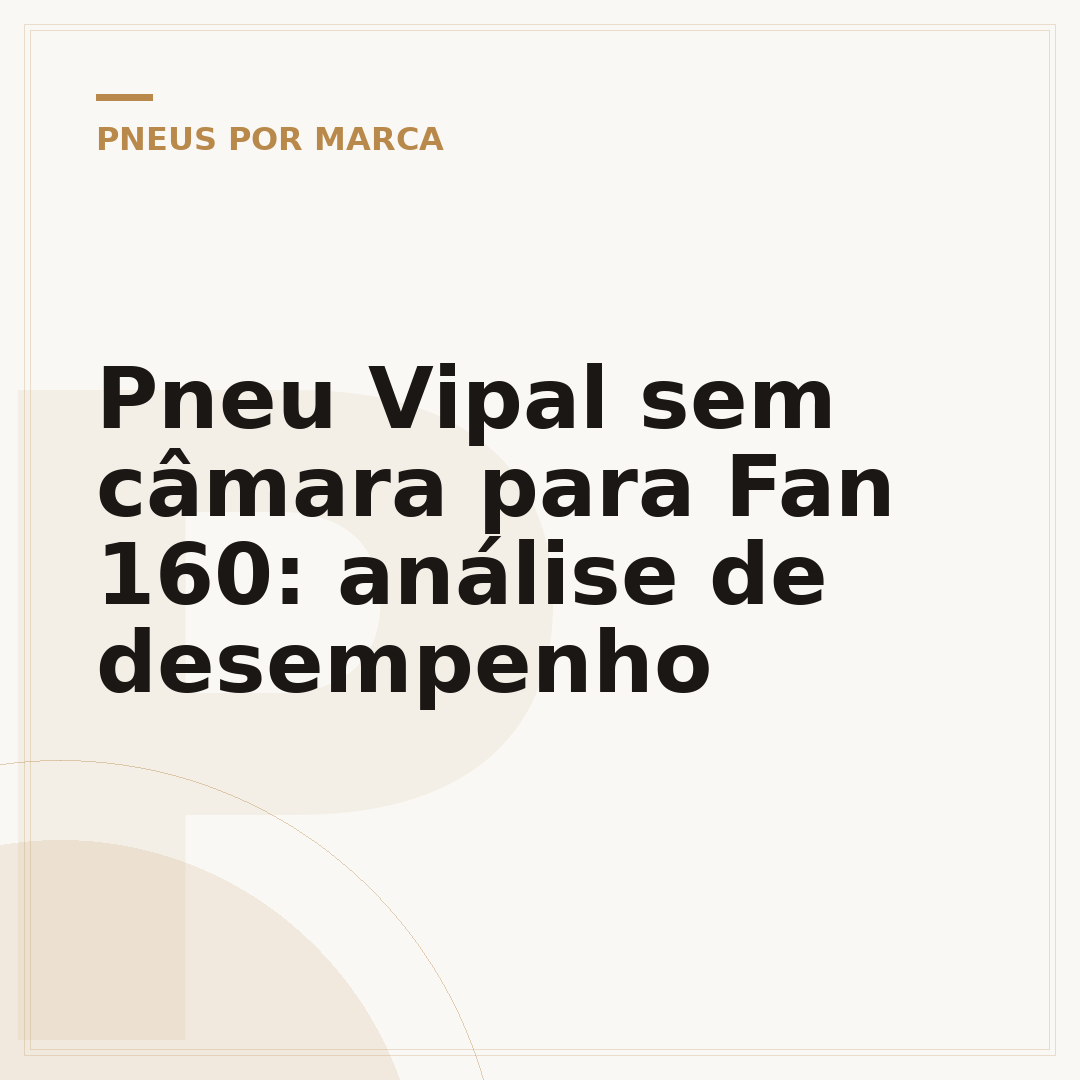 Pneu Vipal sem câmara para Fan 160: análise de desempenho