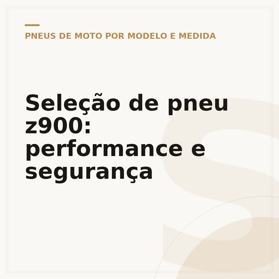 Seleção de pneu z900: performance e segurança