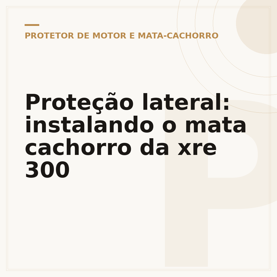 Proteção lateral: instalando o mata cachorro da xre 300